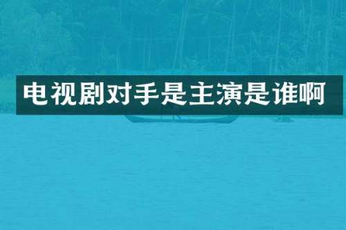 电视剧对手是主演是谁啊
