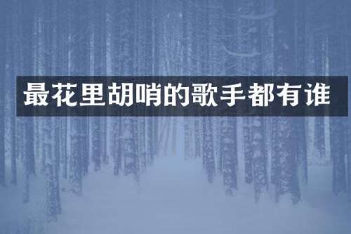最花里胡哨的歌手都有谁
