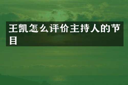 王凯怎么评价主持人的节目