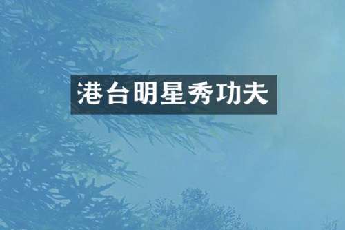 港台明星秀功夫