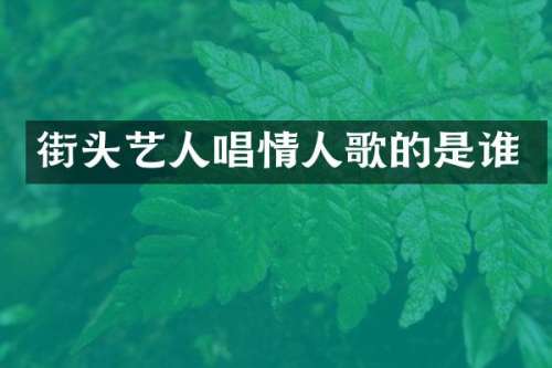 街头艺人唱情人歌的是谁