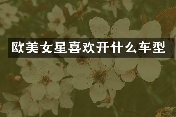 欧星喜欢开什么车型