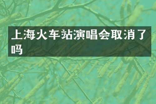 上海火车站演唱会取消了吗