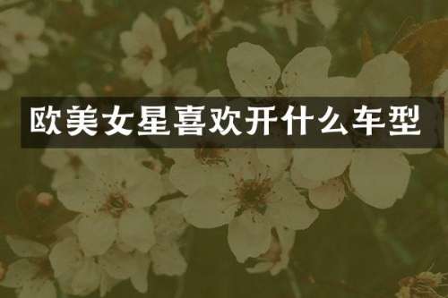 欧星喜欢开什么车型