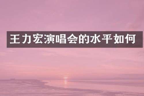 王力宏演唱会的水平如何