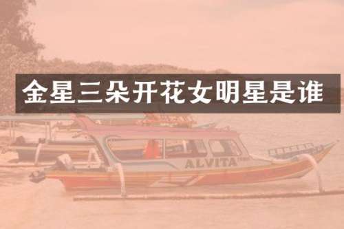 金星三朵开花女明星是谁