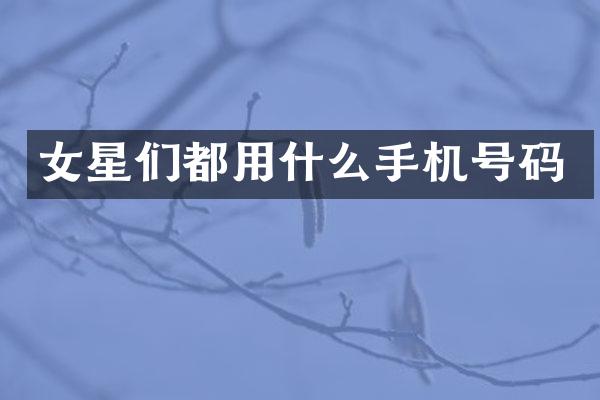 女星们都用什么手机号码