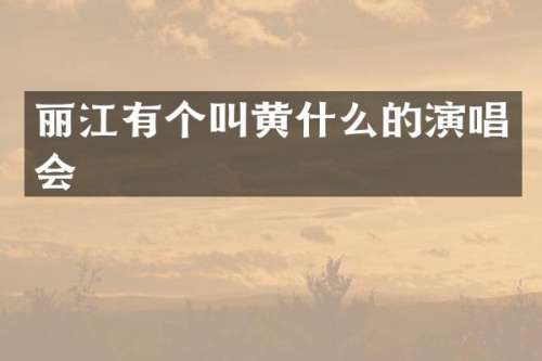 丽江有个叫黄什么的演唱会