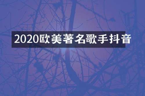 2020欧美著名歌手抖音