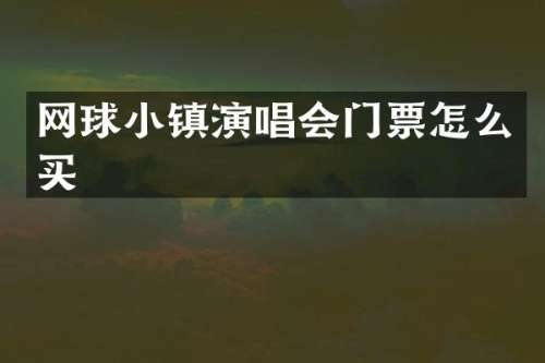 网球小镇演唱会门票怎么买