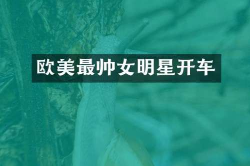 欧美最帅女明星开车
