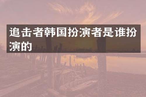 追击者韩国扮演者是谁扮演的