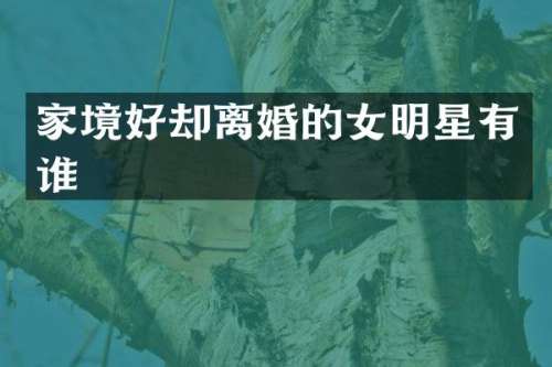 家境好却离婚的女明星有谁