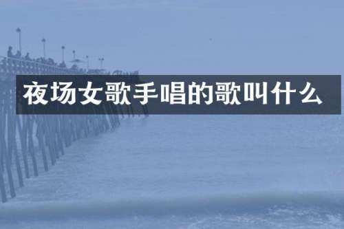 夜场女歌手唱的歌叫什么