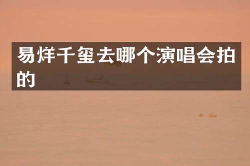 易烊千玺去哪个演唱会拍的