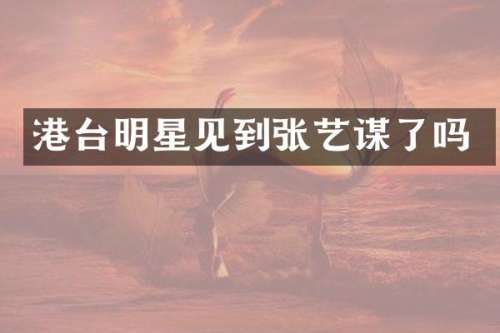 港台明星见到张艺谋了吗