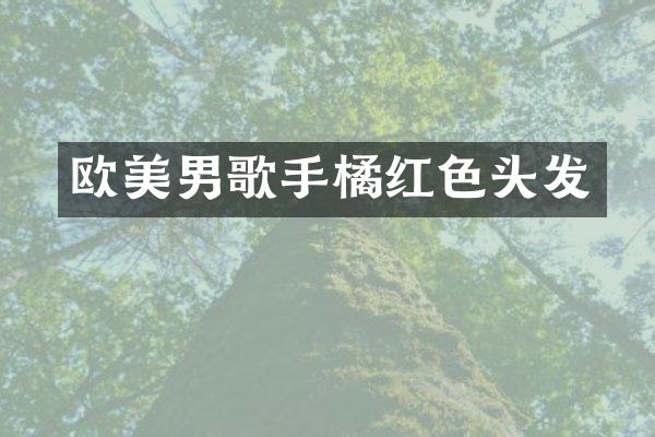 欧美男歌手橘红色头发