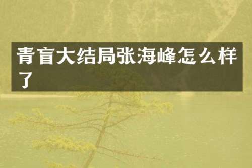 青盲大结局张海峰怎么样了