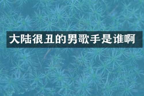 大陆很丑的男歌手是谁啊