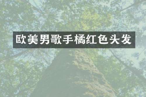 欧美男歌手橘红色头发
