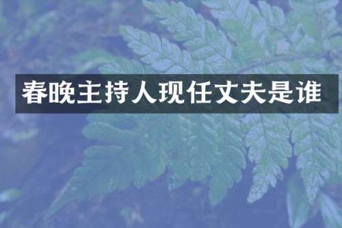 主持人现任丈夫是谁