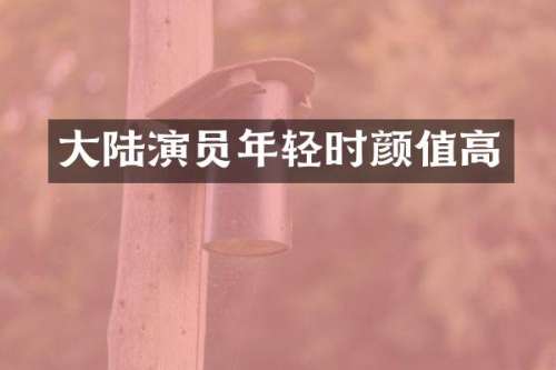 大陆演员年轻时颜值高