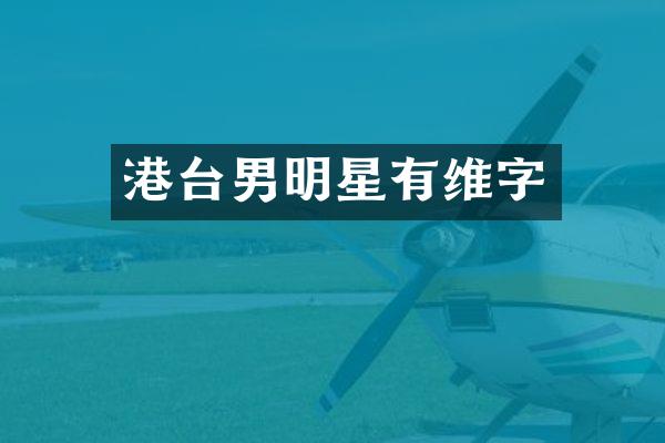 港台男明星有维字