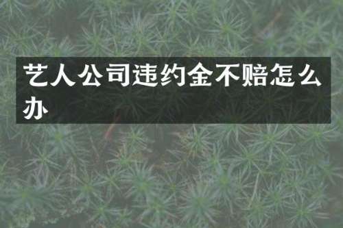 艺人公司违约金不赔怎么办