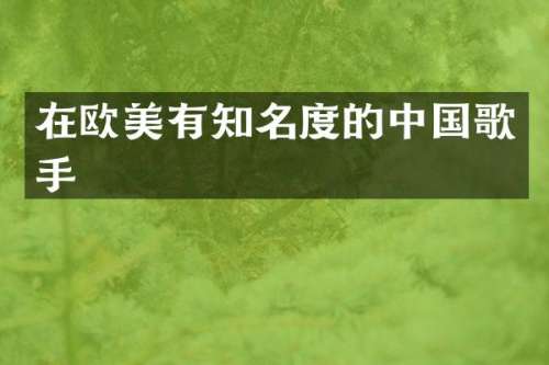 在欧美有知名度的中国歌手