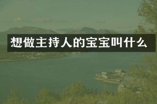 想做主持人的宝宝叫什么