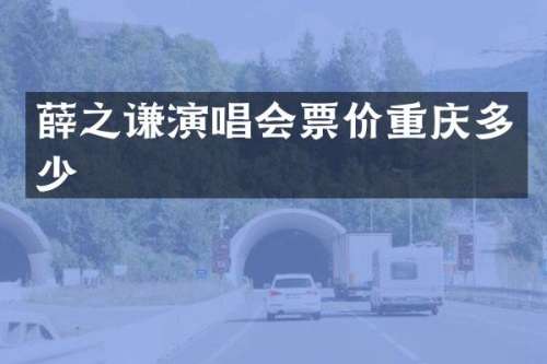 薛之谦演唱会票价重庆多少
