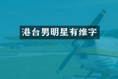 港台男明星有维字