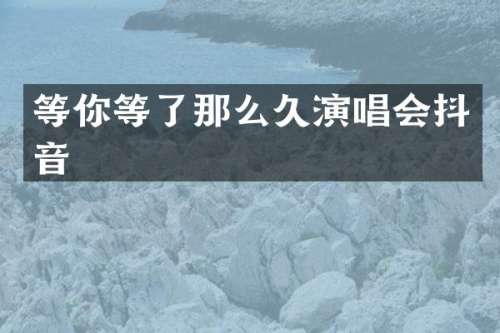 等你等了那么久演唱会抖音