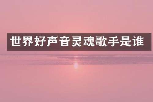 世界好声音灵魂歌手是谁