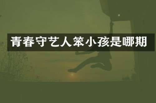 青春守艺人笨小孩是哪期