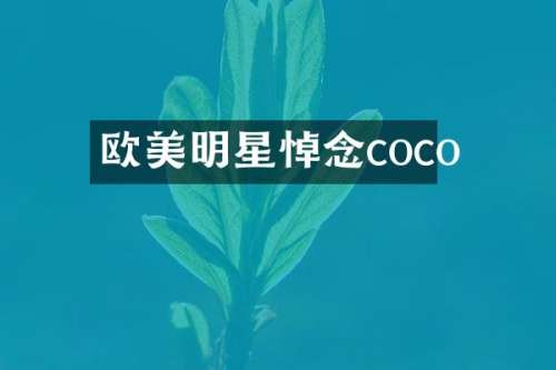欧美明星悼念coco