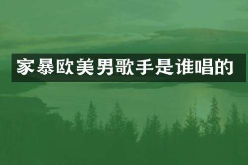 家暴欧美男歌手是谁唱的