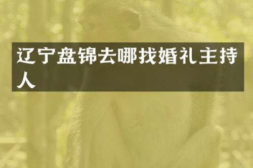 辽宁盘锦去哪找婚礼主持人