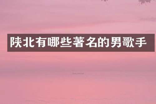 陕北有哪些著名的男歌手