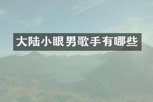大陆小眼男歌手有哪些