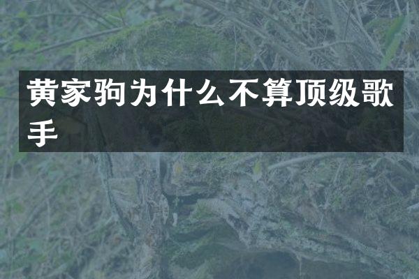 黄家驹为什么不算顶级歌手