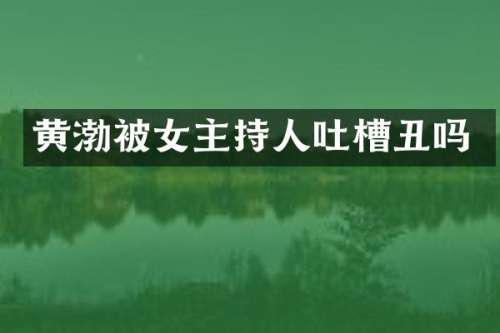 黄渤被女主持人吐槽丑吗