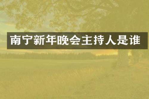 南宁新年晚会主持人是谁