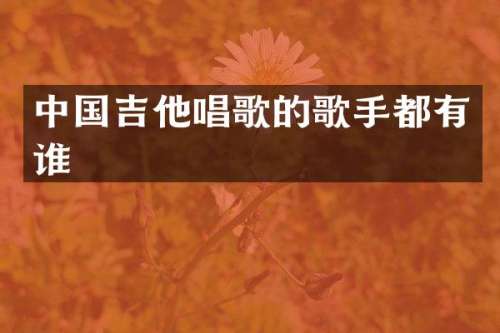 中国吉他唱歌的歌手都有谁