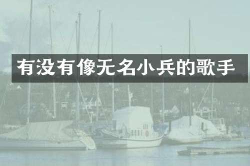 有没有像无名小兵的歌手