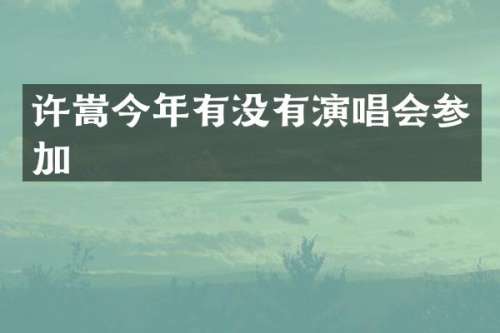 许嵩今年有没有演唱会参加