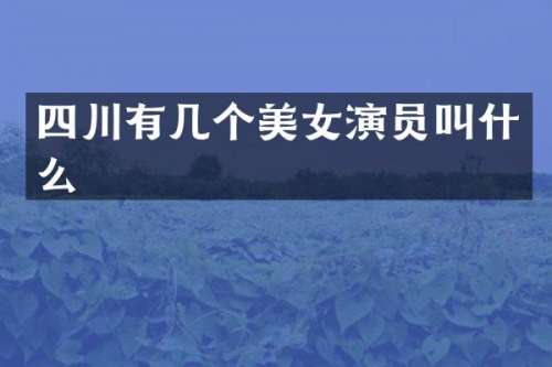 四川有几个演员叫什么