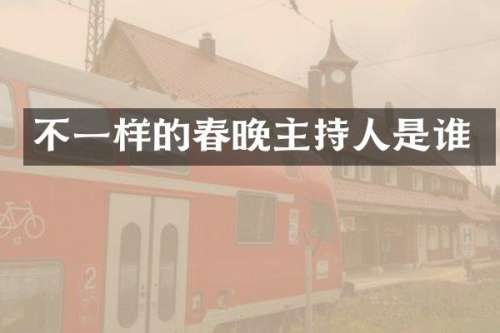 不一样的主持人是谁