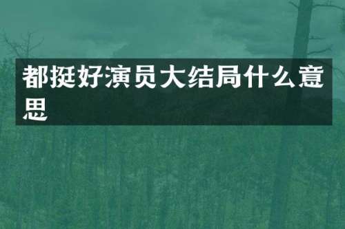 都挺好演员大结局什么意思
