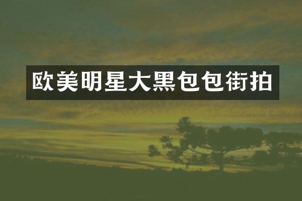 欧美明星大黑包包街拍